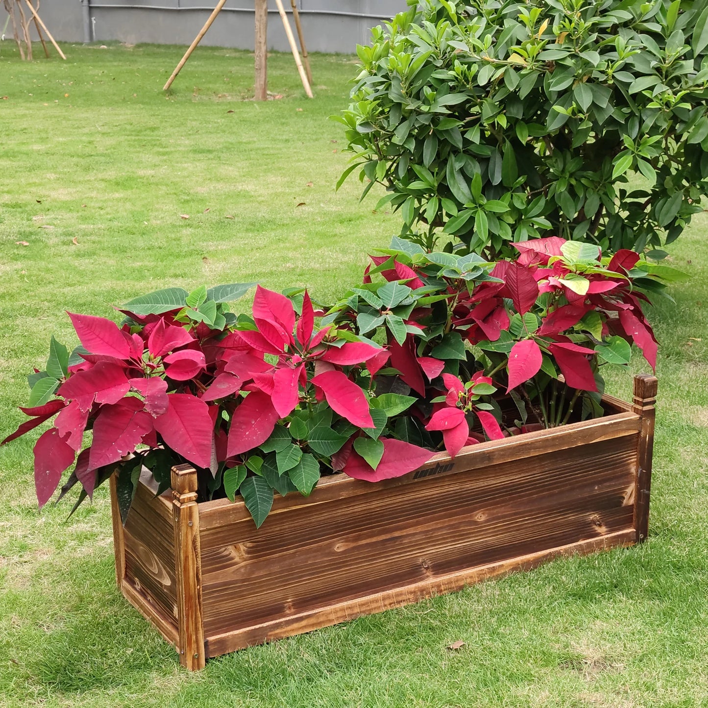 Raised Garden Bed Flower or Vegetable Planter